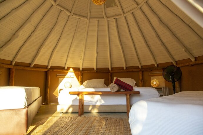 Imagen de la habitación del Hotel Nativo Glamping. Foto 14