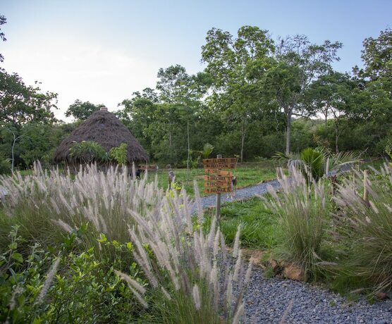 Imagen general del Hotel Nativo Glamping. Foto 4