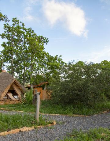 Imagen de la habitación del Hotel Nativo Glamping. Foto 16