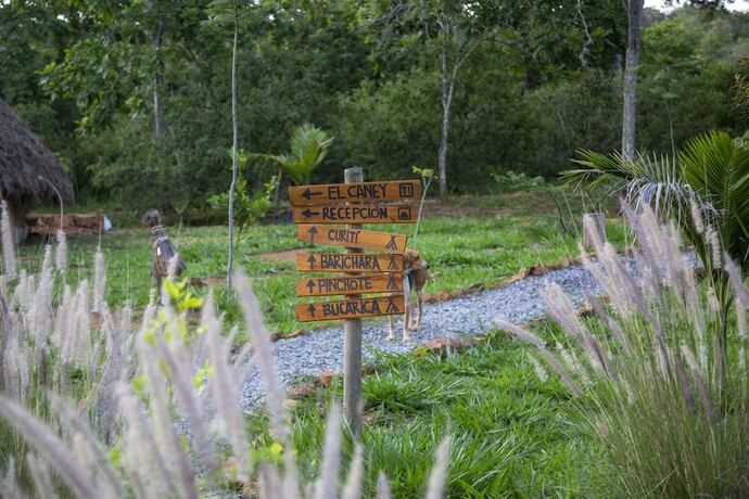 Imagen general del Hotel Nativo Glamping. Foto 6