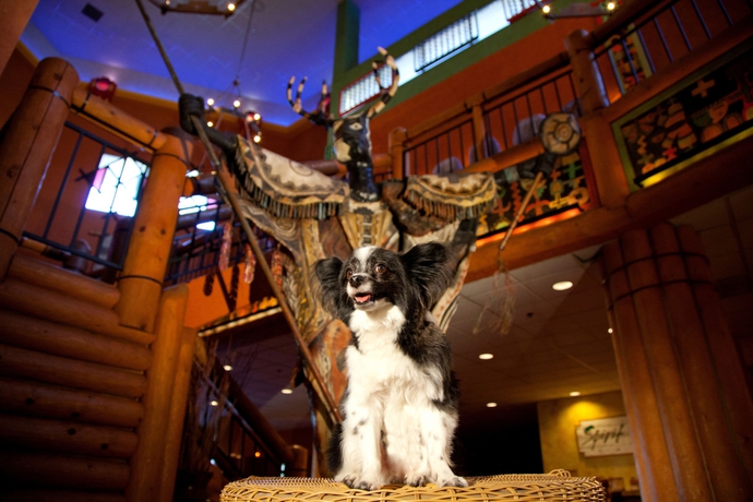 Imagen general del Hotel Nativo Lodge. Foto 2