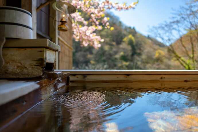 Imagen general del Hotel Natsuse Onsen Miyakowasure. Foto 7