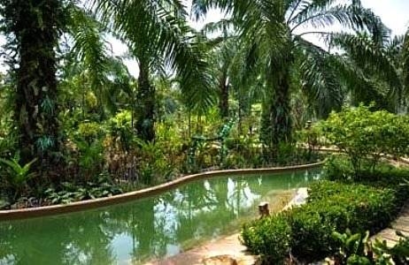 Imagen general del Hotel Nattha Waree Hot Spring Resort and Spa. Foto 14