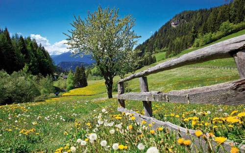 Imagen de la habitación del Hotel Natur- & Auszeithotel H&uuml;ttenwirt. Foto 2