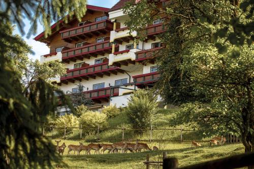 Imagen general del Hotel Natur- und Wohlf&uuml;hlhotel Kastenholz. Foto 2
