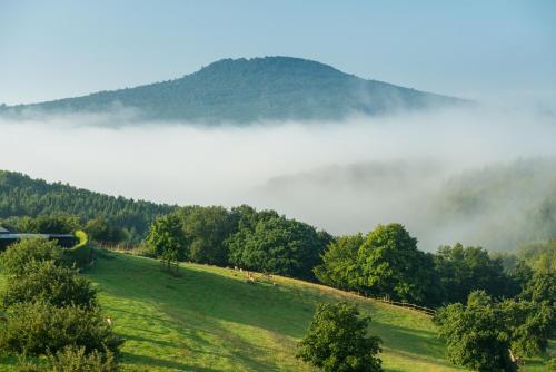 Imagen general del Hotel Natur- und Wohlf&uuml;hlhotel Kastenholz. Foto 5