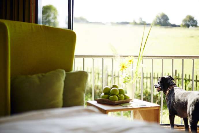 Imagen de la habitación del Hotel NaturWildewiese. Foto 11