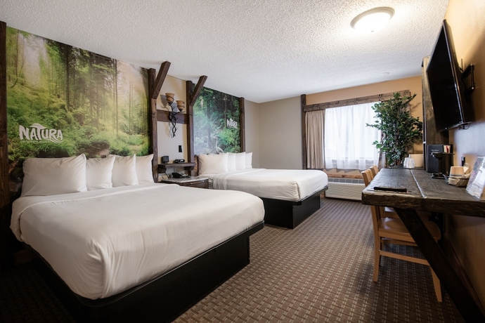 Imagen de la habitación del Hotel Natura Treescape Resort. Foto 18