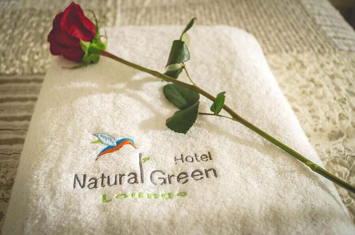 Imagen de la habitación del Hotel Natural Green Lounge. Foto 10