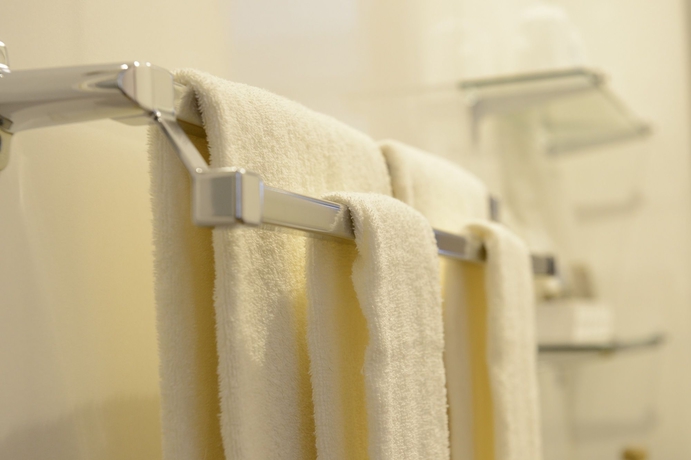 Imagen de la habitación del Hotel Natural Hot Spring Midosuji. Foto 4