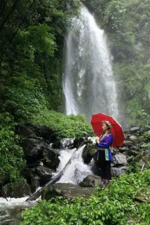 Imagen general del Hotel Natural Lodge Homestay. Foto 4