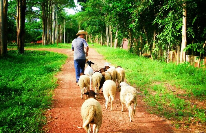 Imagen de los exteriores del Hotel Natural Park Resort De Wangthong. Foto 38