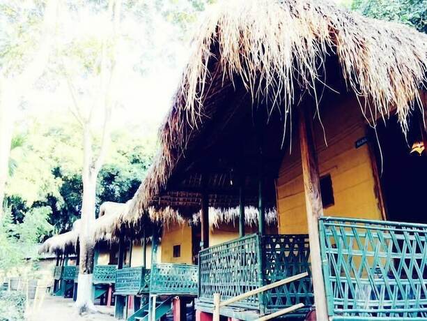 Imagen de la habitación del Hotel Nature Hunt Eco Camp. Foto 22