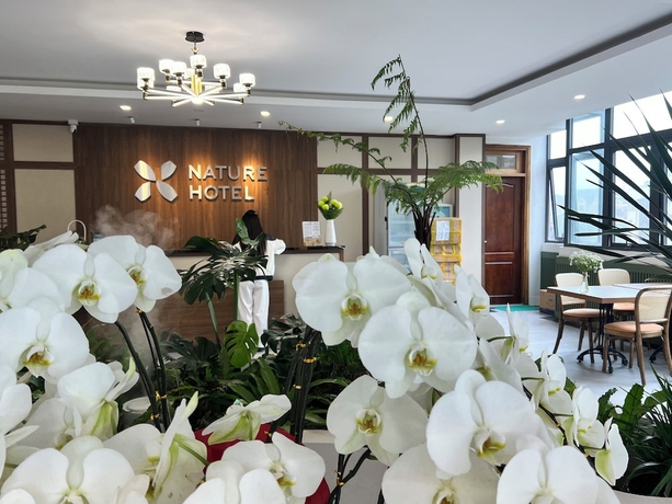 Imagen de los interiores del Hotel Nature - Le Hong Phong. Foto 12