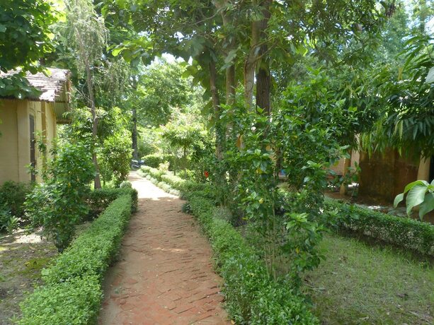 Imagen general del Hotel Nature Safari Resort. Foto 7