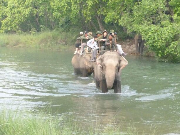 Imagen general del Hotel Nature Safari Resort. Foto 15