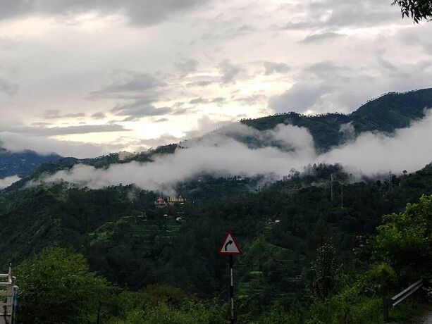 Imagen general del Hotel Nature Treat Resort. Foto 6