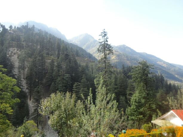 Imagen general del Hotel Natures Lap Resort Jibhi. Foto 9
