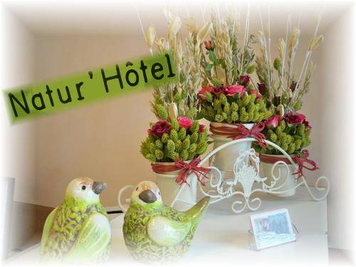 Imagen de la habitación del Hotel Natur'h&ocirc;tel. Foto 7