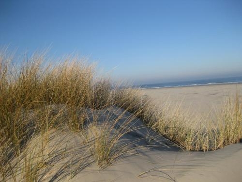 Imagen general del Hotel Naturhotel Baltrum. Foto 1