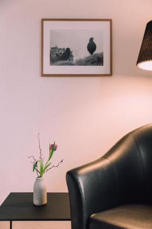 Imagen general del Hotel Naturhotel Chesa Valisa. Foto 8