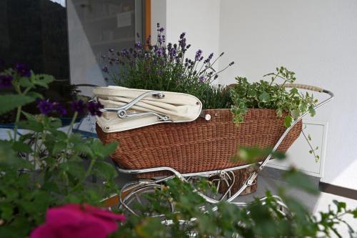 Imagen general del Hotel Naturhotel Haller. Foto 5