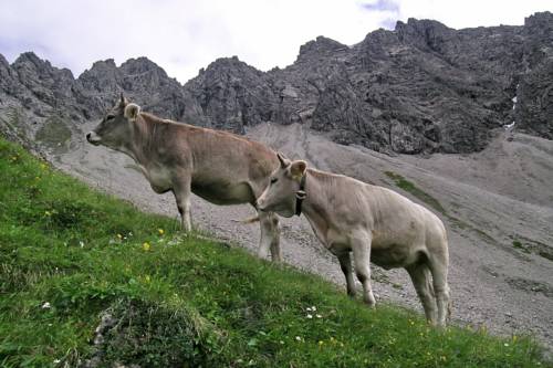 Imagen de la habitación del Hotel Naturhotel L&auml;rchenhof, MITTELBERG. Foto 11