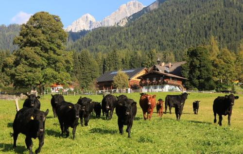 Imagen general del Hotel Naturhotel Lärchenhof, Ramsau am Dachstein. Foto 1