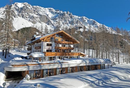 Imagen general del Hotel Naturhotel L&auml;rchenhof, Ramsau am Dachstein. Foto 3