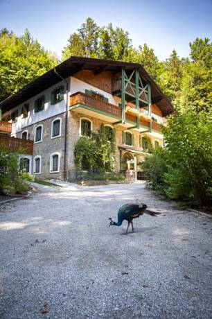 Imagen de la habitación del Hotel Naturidyll Hammerschmiede. Foto 2