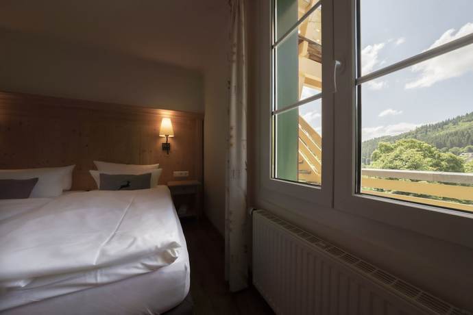 Imagen de la habitación del Hotel Naturparkhotel Gr&uuml;ner Baum. Foto 13