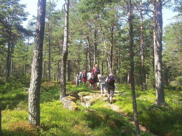 Imagen general del Hotel Naturum V&auml;nersk&auml;rg&aring;rden - Victoriahuset. Foto 8