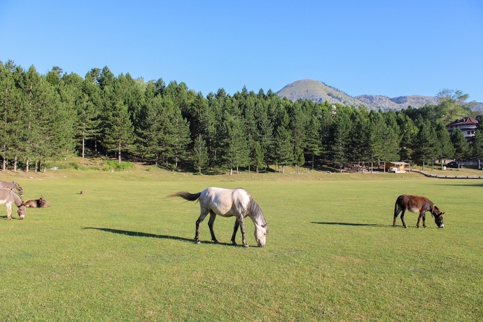 Imagen de los exteriores del Hotel Natyral Razma Resort. Foto 17