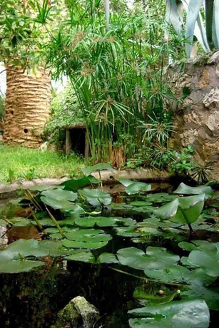 Imagen general del Hotel Nautilus, Capri. Foto 6