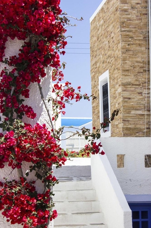 Imagen general del Hotel Naxos Holidays. Foto 6