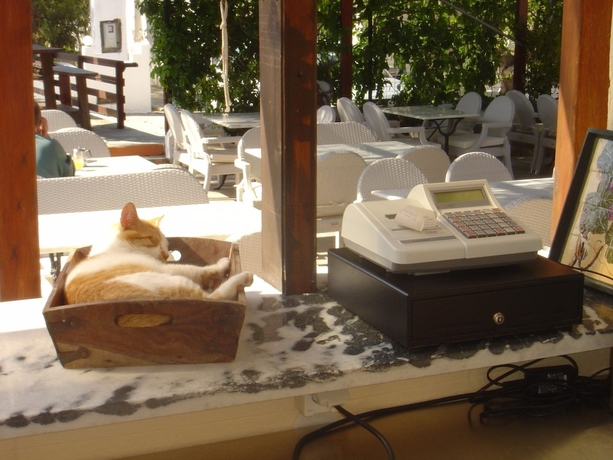 Imagen de la habitación del Hotel Naxos Summerland resort. Foto 6