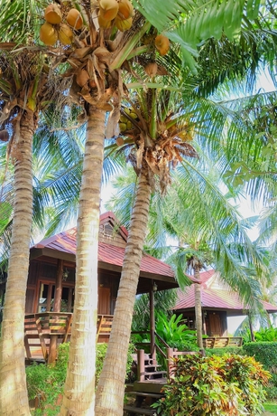 Imagen de los exteriores del Hotel Naya Resort. Foto 11