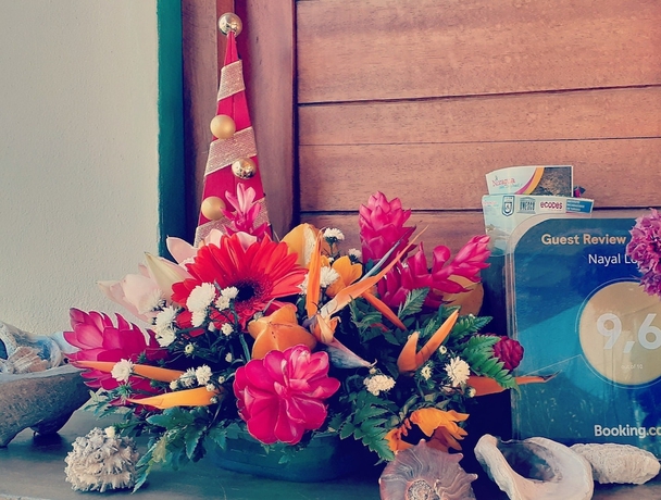 Imagen de los interiores del Hotel Nayal Lodge. Foto 18