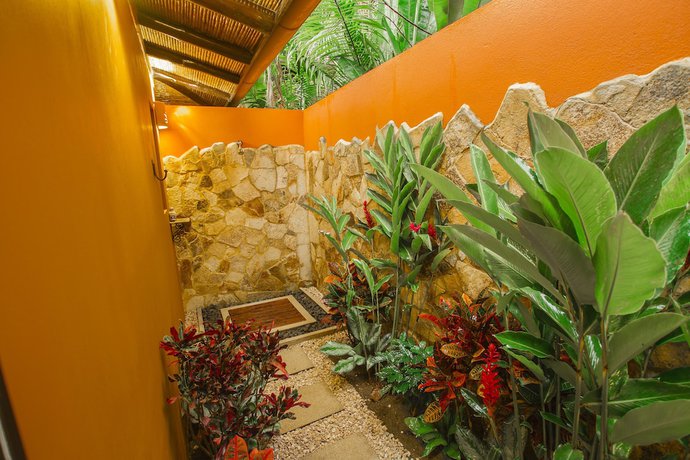 Imagen de la habitación del Hotel Nayara Gardens. Foto 14