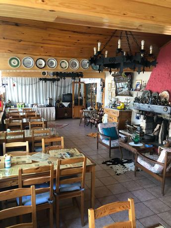 Imagen del bar/restaurante del Hotel Naz. Foto 4