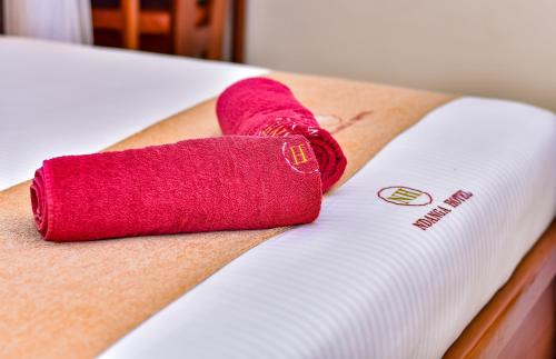 Imagen general del Hotel Ndanga. Foto 8