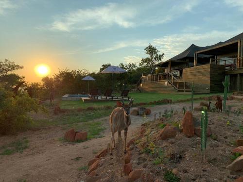 Imagen general del Hotel Ndhula Luxury Tented Lodge. Foto 3