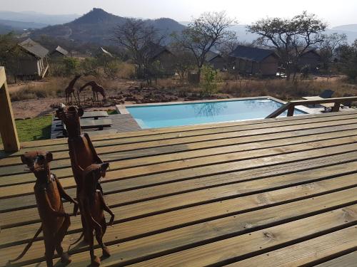 Imagen general del Hotel Ndhula Luxury Tented Lodge. Foto 6