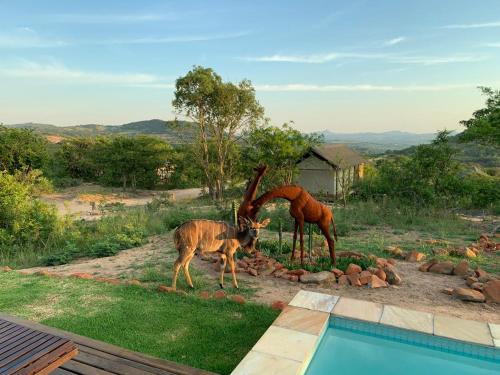 Imagen general del Hotel Ndhula Luxury Tented Lodge. Foto 8