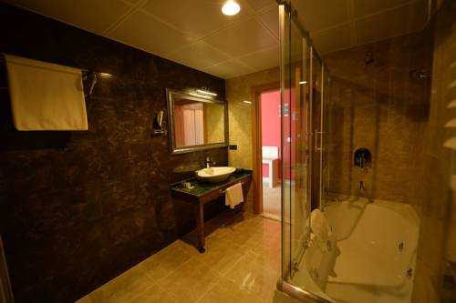Imagen de la habitación del Hotel Neba Royal, Samsun. Foto 3