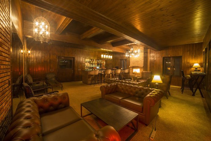 Imagen del bar/restaurante del Hotel Nedous. Foto 7