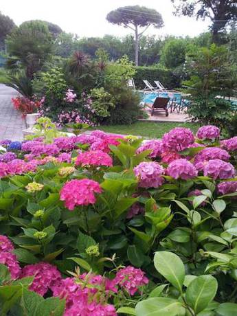 Imagen de la habitación del Hotel Nedy. Foto 3