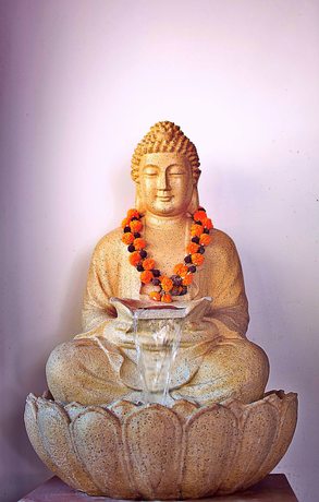 Imagen de los interiores del Hotel Neer Buddha. Foto 18