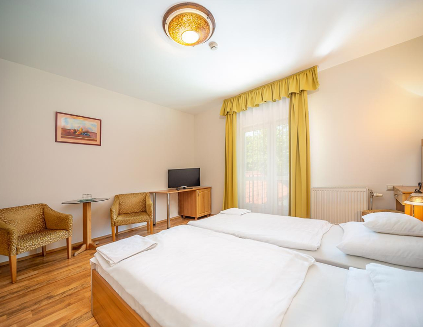 Imagen general del Hotel Nefelejcs. Foto 6