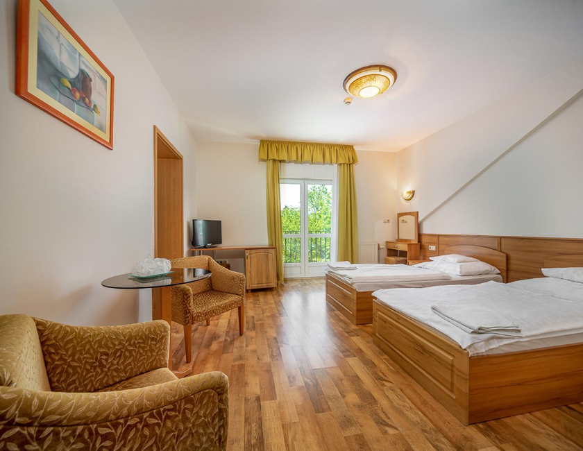Imagen general del Hotel Nefelejcs. Foto 17